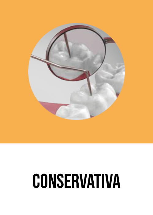 Conservativa